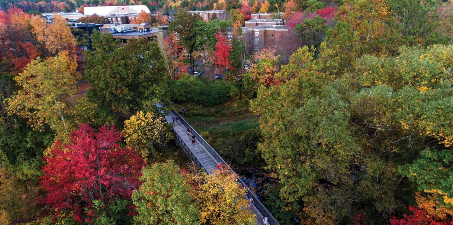 trees on campus