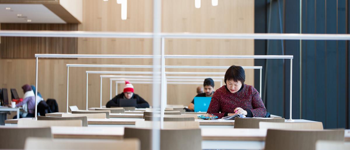 Student studying in library